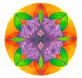 /album/fotogalerie-moji-studenti/mandala-janicka-jpg/